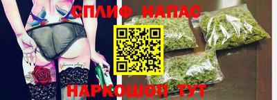 гидра Беслан