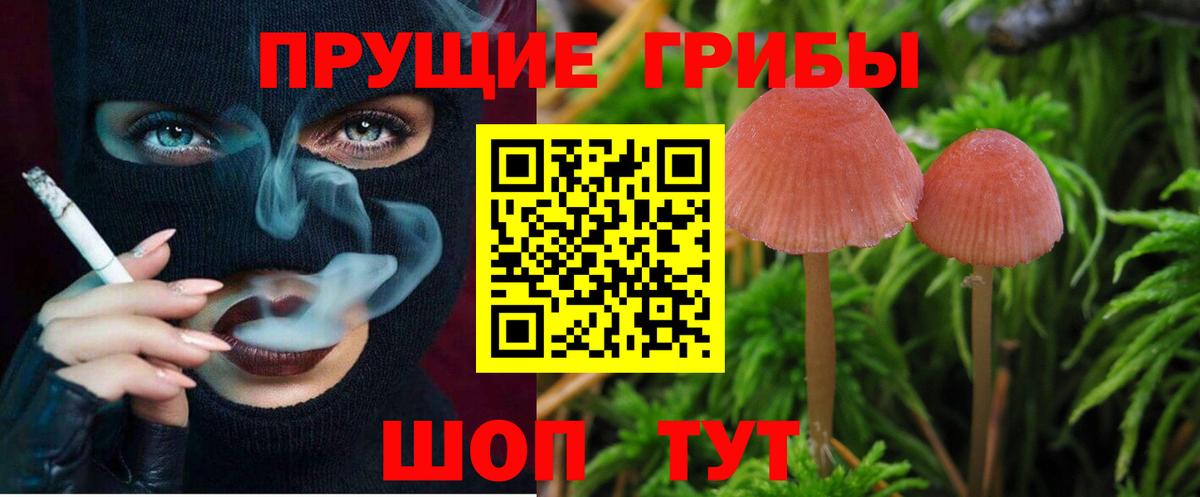 Галлюциногенные грибы мухоморы Воронеж